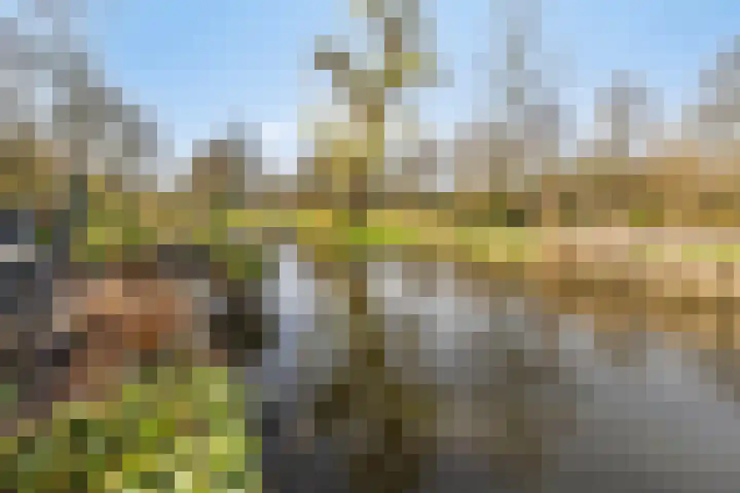 Maasoord 11 Woerden thumbnail 39