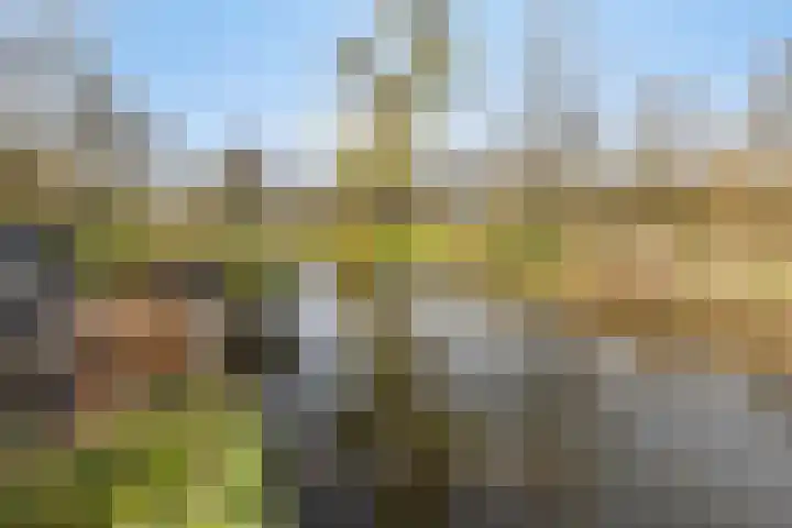 Maasoord 11 Woerden thumbnail 39