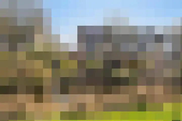 Maasoord 11 Woerden thumbnail 40