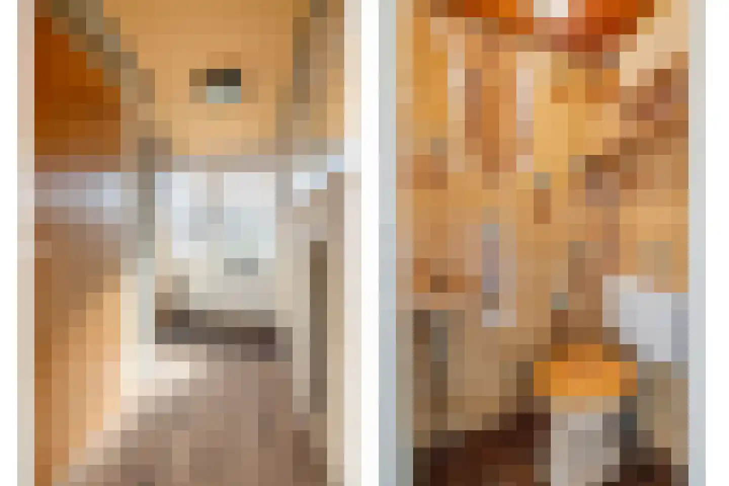 Maasoord 11 Woerden thumbnail 6