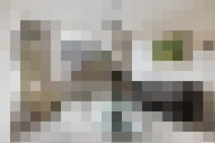 Maasoord 39 Woerden thumbnail 10