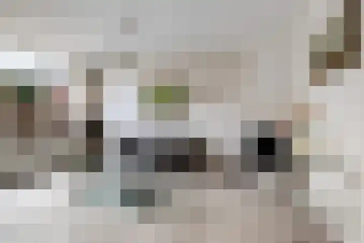 Maasoord 39 Woerden thumbnail 11