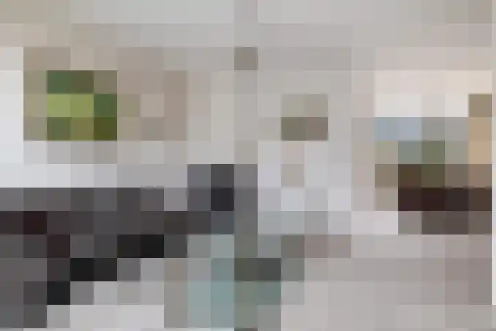 Maasoord 39 Woerden thumbnail 13