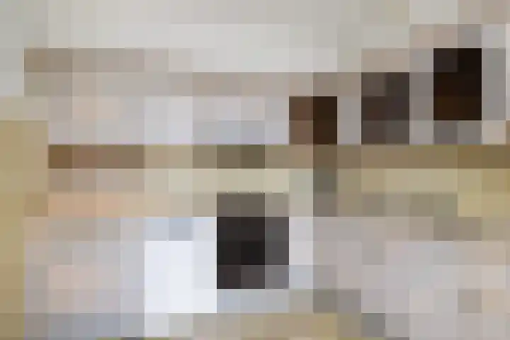 Maasoord 39 Woerden thumbnail 27