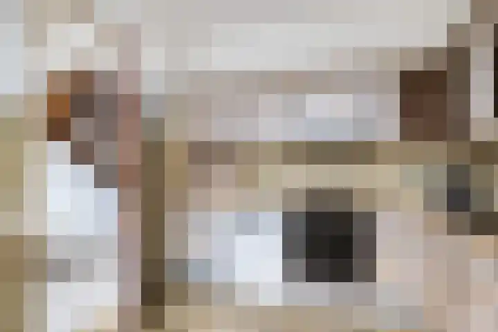 Maasoord 39 Woerden thumbnail 28