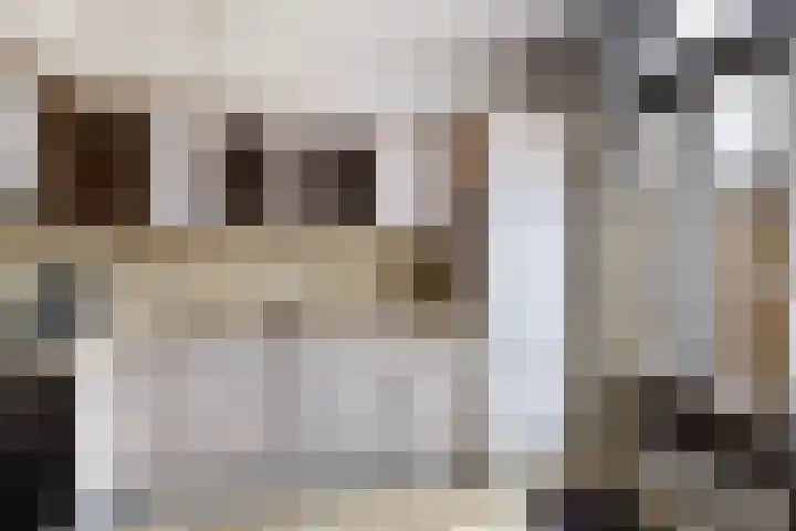 Maasoord 39 Woerden thumbnail 29