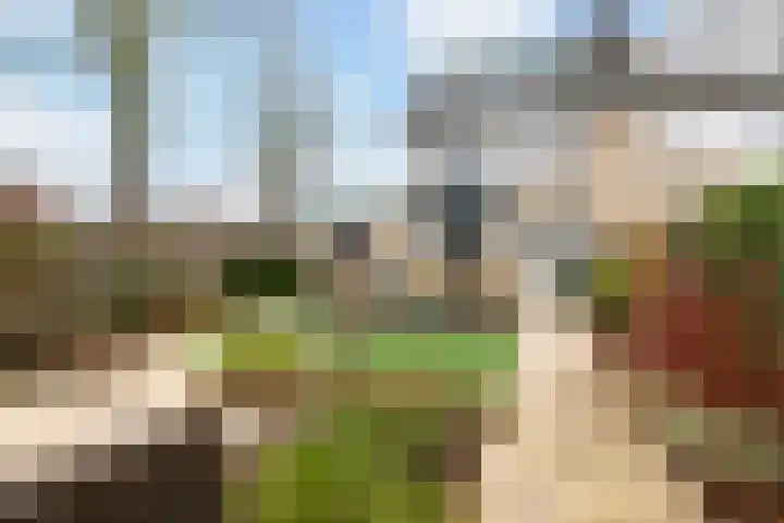 Maasoord 39 Woerden thumbnail 32