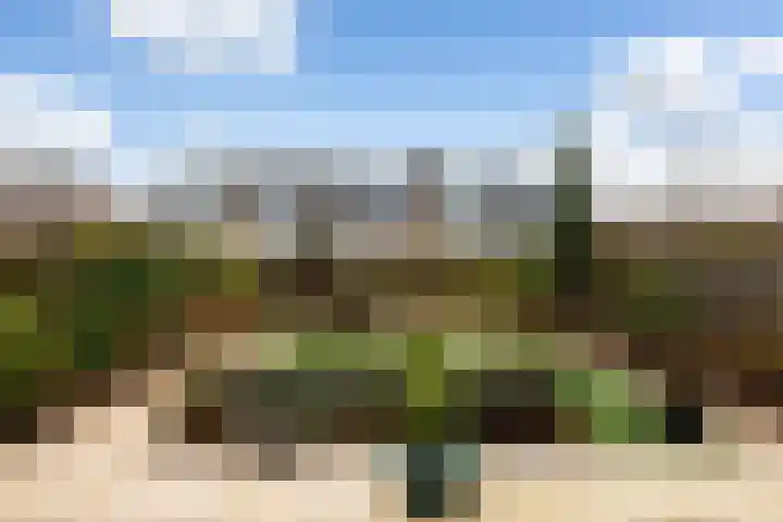 Maasoord 39 Woerden thumbnail 55