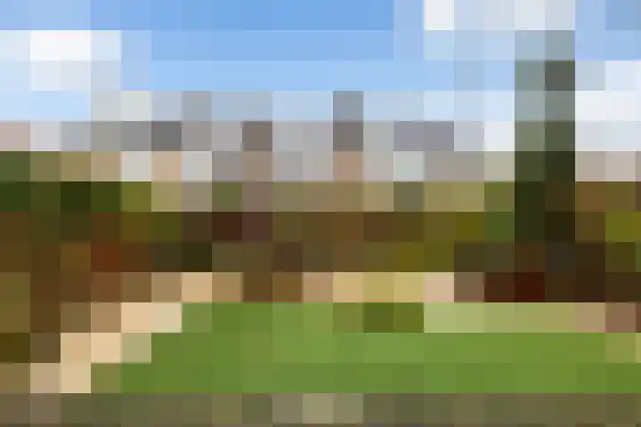 Maasoord 39 Woerden thumbnail 56