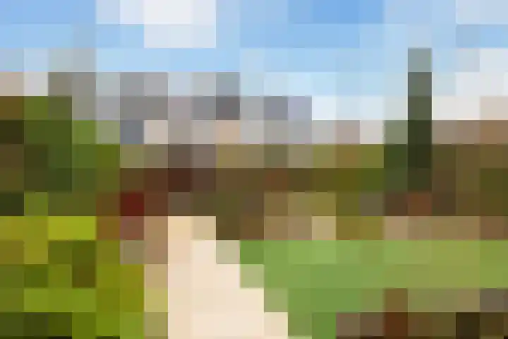 Maasoord 39 Woerden thumbnail 57