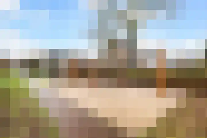 Maasoord 39 Woerden thumbnail 63