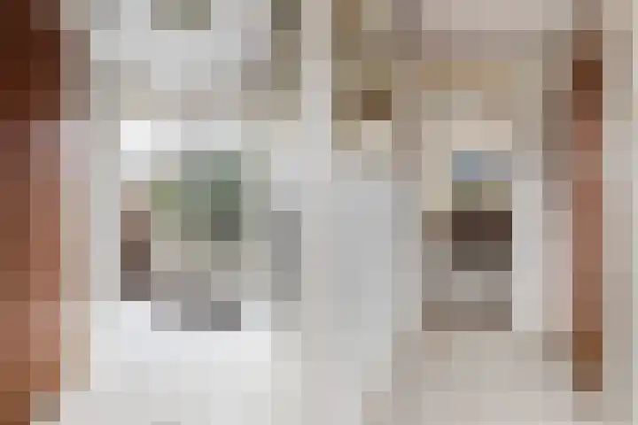Maasoord 39 Woerden thumbnail 7
