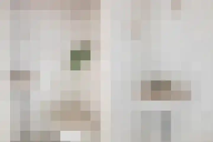 Maasoord 39 Woerden thumbnail 8