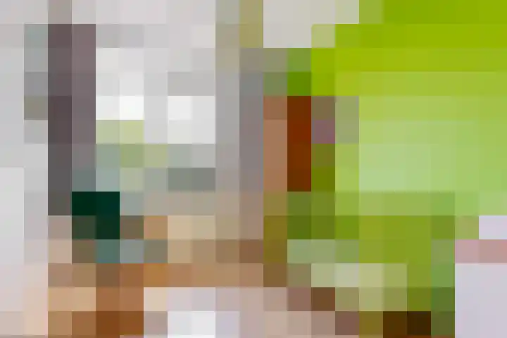 Maaspad 1 D Nieuwegein thumbnail 19