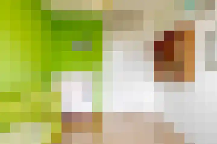 Maaspad 1 D Nieuwegein thumbnail 20