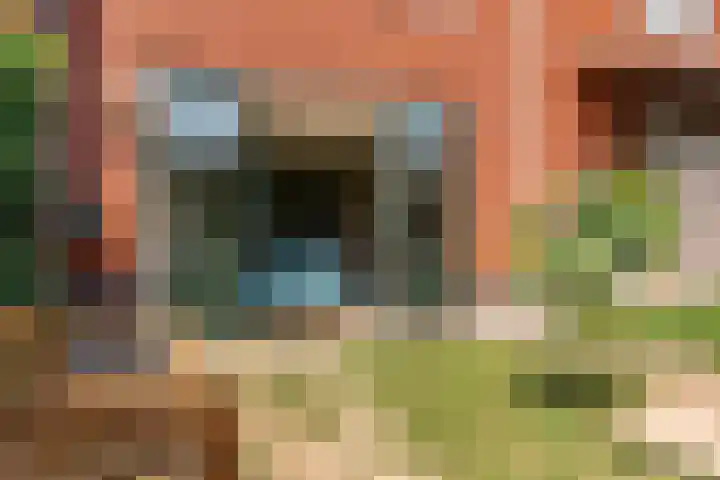Maaspad 1 D Nieuwegein thumbnail 32