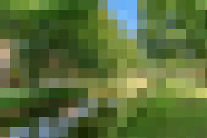 Maaspad 1 D Nieuwegein thumbnail 34