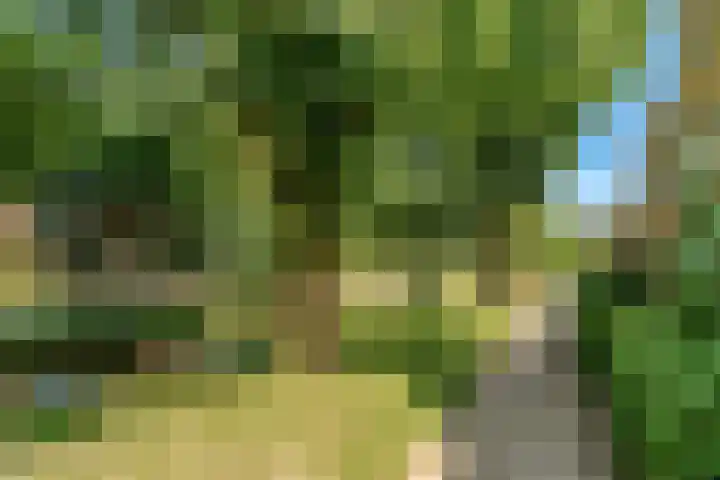 Maaspad 1 D Nieuwegein thumbnail 35