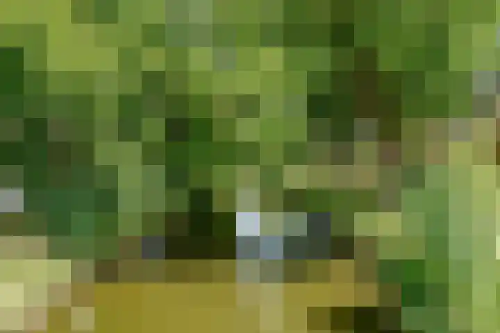 Maaspad 1 D Nieuwegein thumbnail 36
