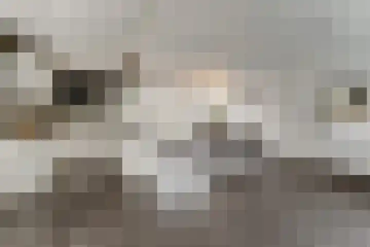 Maaspad 3 Nieuwegein thumbnail 13
