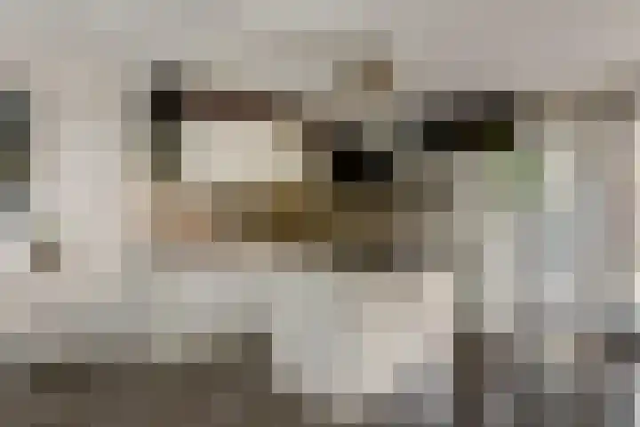 Maaspad 3 Nieuwegein thumbnail 14