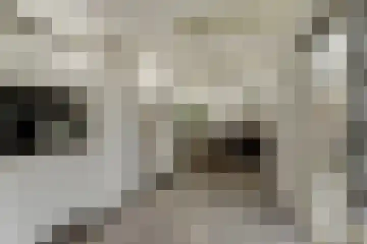 Maaspad 3 Nieuwegein thumbnail 17