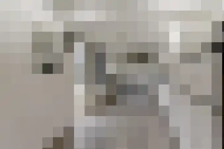 Maaspad 3 Nieuwegein thumbnail 21