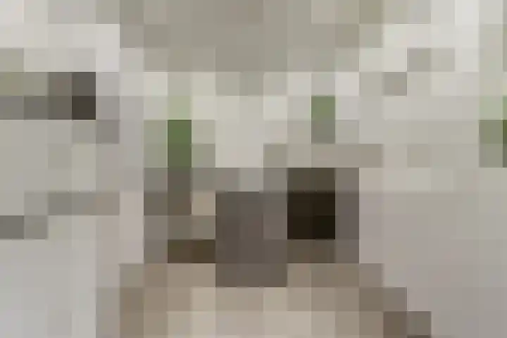 Maaspad 3 Nieuwegein thumbnail 22