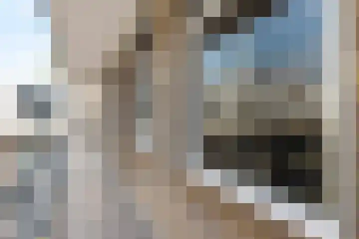 Maasplein 23 Zwijndrecht thumbnail 6