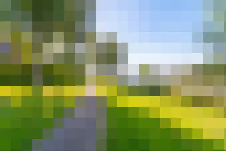 Maasplein 30 Zwijndrecht thumbnail 36