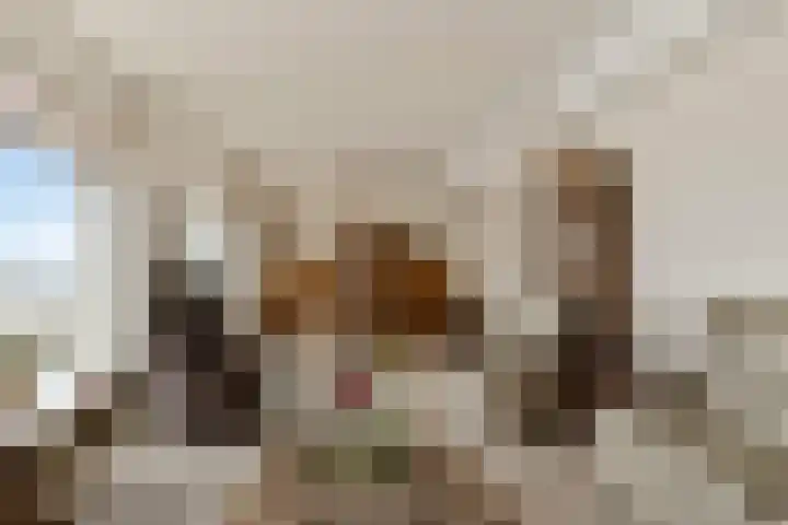 Maasplein 33 Zwijndrecht thumbnail 11