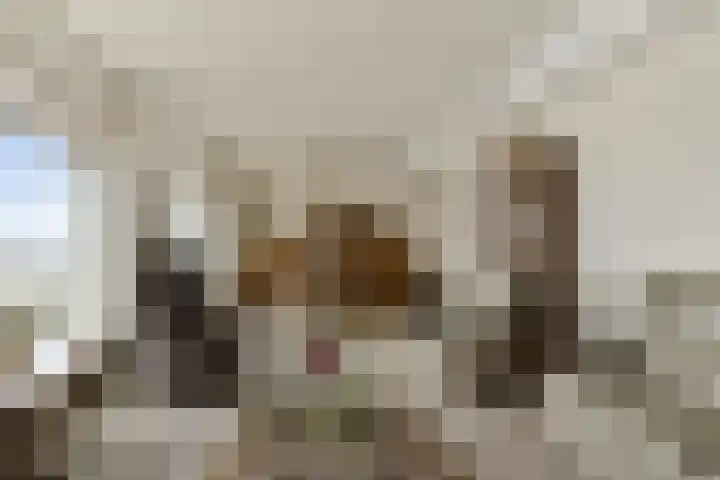 Maasplein 33 Zwijndrecht thumbnail 12