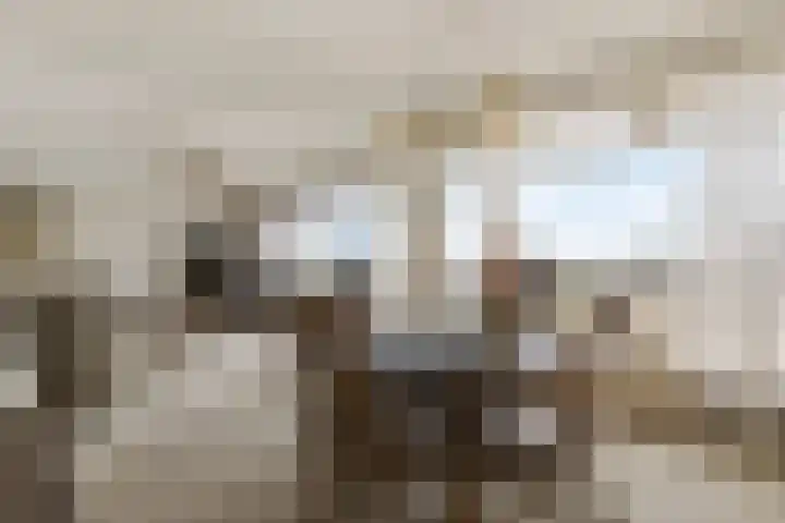 Maasplein 33 Zwijndrecht thumbnail 8