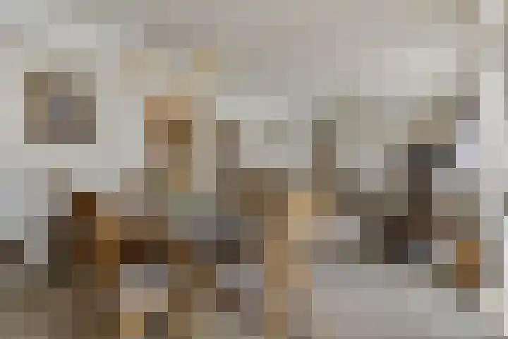 Maasplein 33 Zwijndrecht thumbnail 9