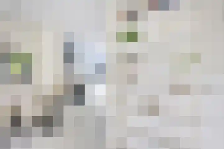 Maaspolder 1 Houten thumbnail 10