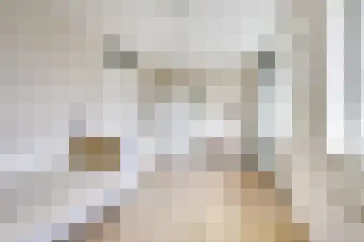 Maaspolder 1 Houten thumbnail 22