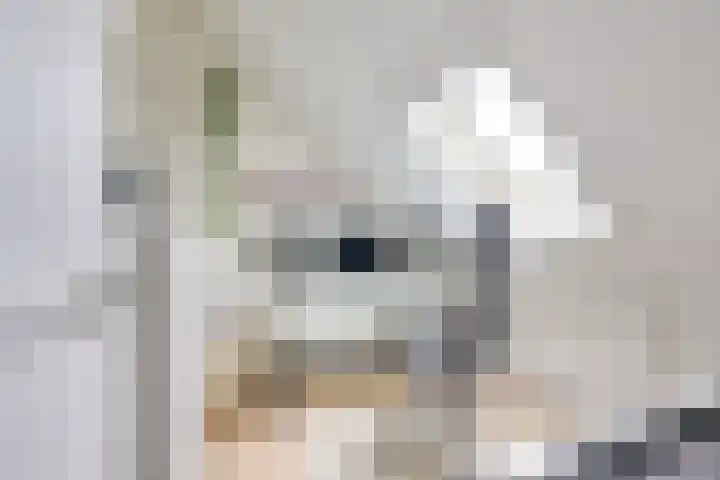 Maaspolder 1 Houten thumbnail 30
