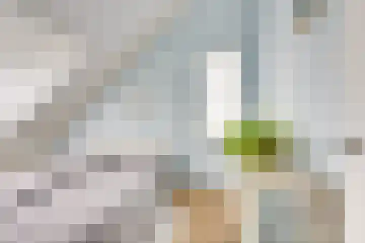 Maaspolder 1 Houten thumbnail 31