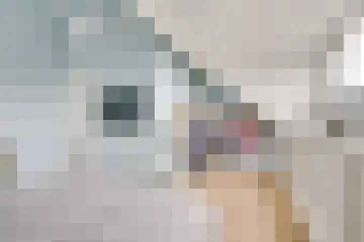 Maaspolder 1 Houten thumbnail 33