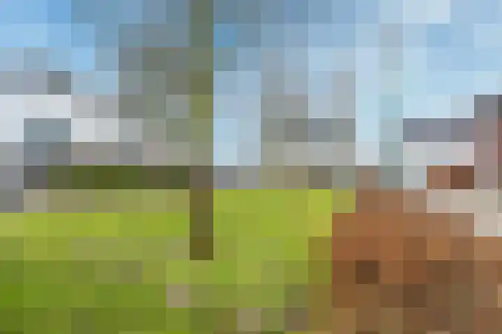 Maaspolder 1 Houten thumbnail 39
