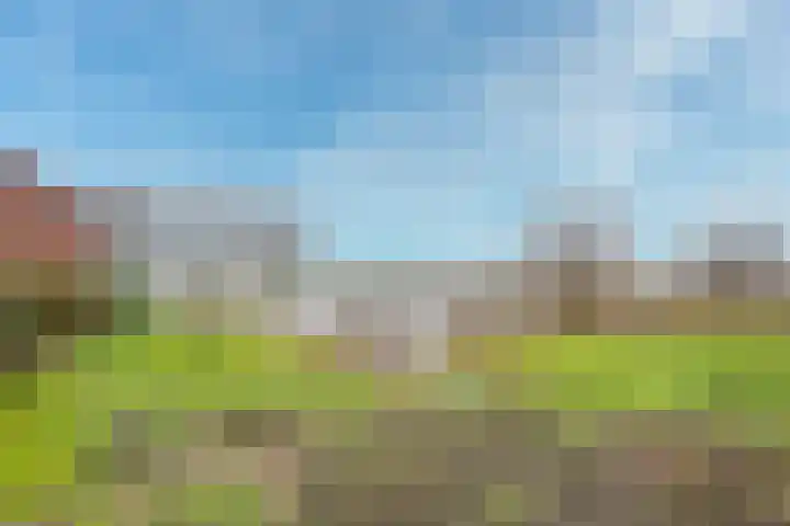 Maaspolder 1 Houten thumbnail 40