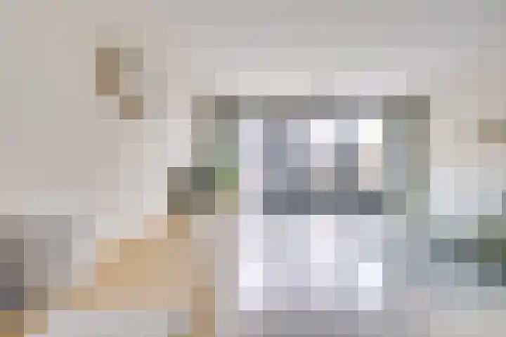 Maaspolder 1 Houten thumbnail 5