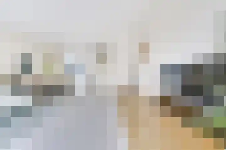 Maaspolder 1 Houten thumbnail 6