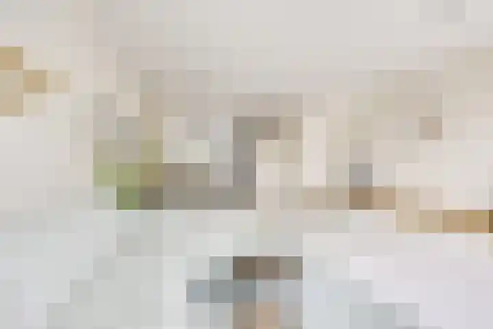 Maaspolder 1 Houten thumbnail 7