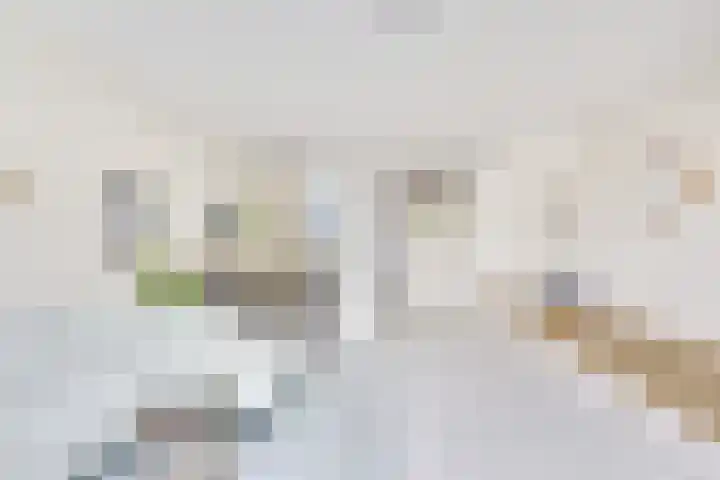 Maaspolder 1 Houten thumbnail 8