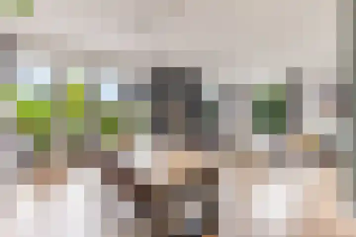 Maaspolder 58 Houten thumbnail 17