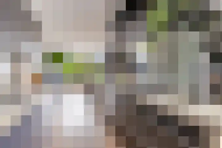 Maaspolder 58 Houten thumbnail 20