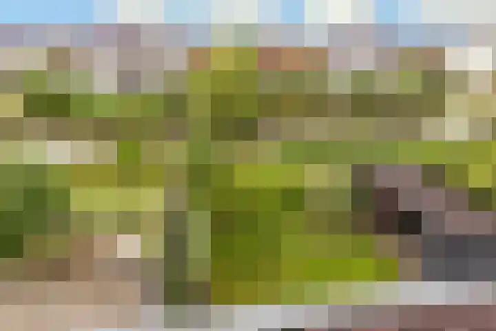 Maaspolder 58 Houten thumbnail 55