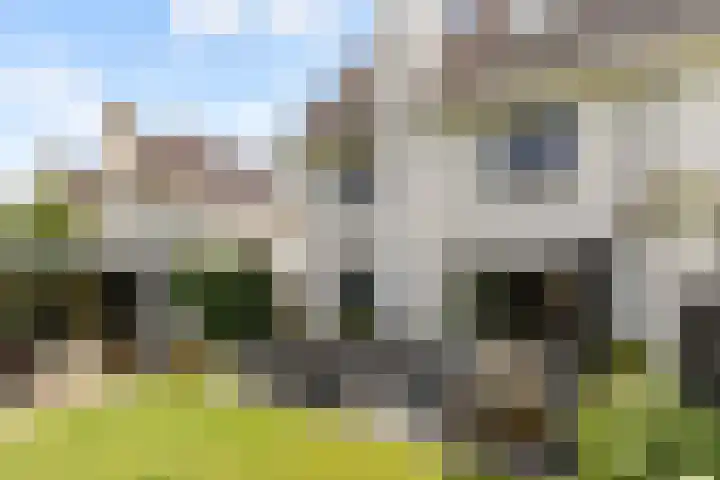 Maaspolder 58 Houten thumbnail 56