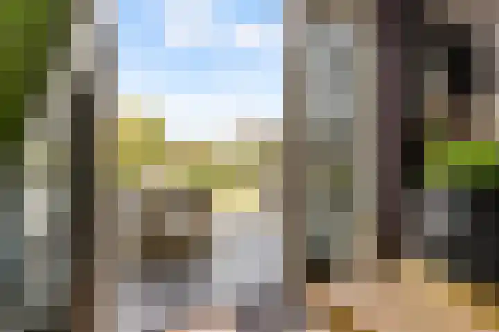 Maaspolder 58 Houten thumbnail 57